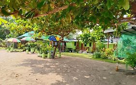 Mac Beach Campsite Resort